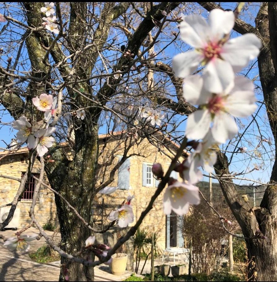 Des Oliviers Bed and breakfast Nimes